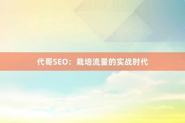 代哥SEO：栽培流量的实战时代
