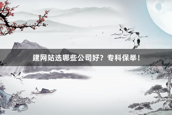 建网站选哪些公司好？专科保举！