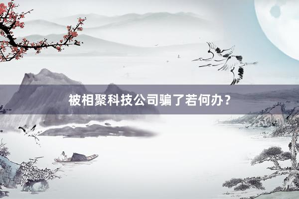 被相聚科技公司骗了若何办？