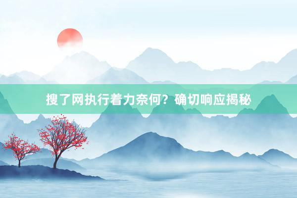 搜了网执行着力奈何？确切响应揭秘